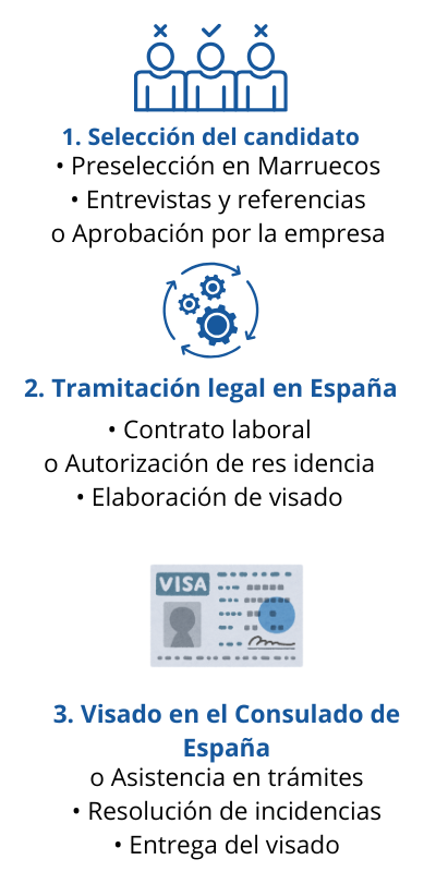 1. Selección del candidato